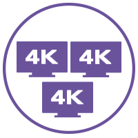purple displays icon