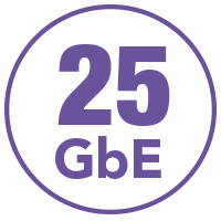 purple 25GbE icon