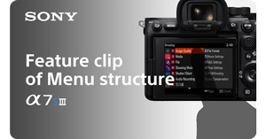 Sony Alpha 7S III Mirrorless Camera DSLM