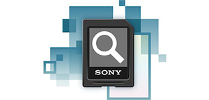 Sony Tough SF-G SD Card 256GB SDXC UHS-II V90 LN131320 - SF-G256T