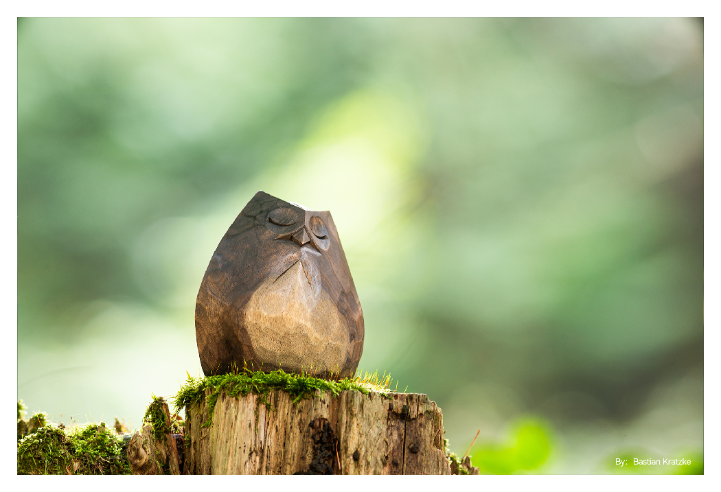 sample image of an owl statue on a tree stump taken with the ttartisan telephoto lens