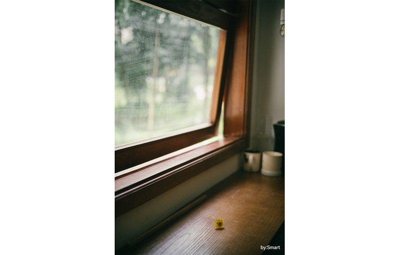 TTArtisan 50mm F2 sample photograph of single dandelion flower sitting on table below opened window 