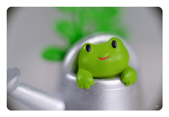 vignette example using the 100mm F2.8 Macro X2 Lens