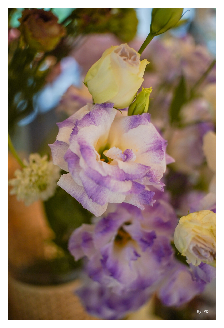 sample image of flowers taken using the ttartisan 25mm f2