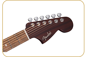 Fender California Deluxe Newporter CE