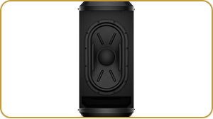 Bose - L1 Pro 32