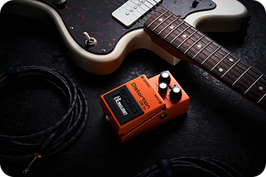 Boss DS-1W