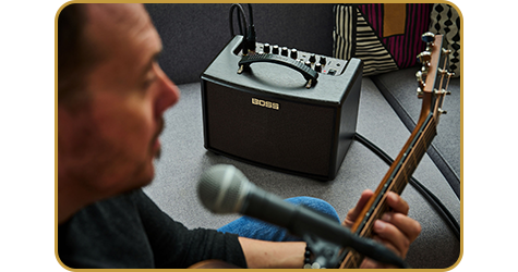 BOSS AC-22LX
