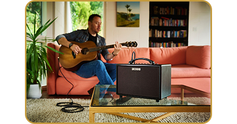 BOSS AC-22LX