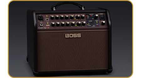 Boss Acoustic Singer Live