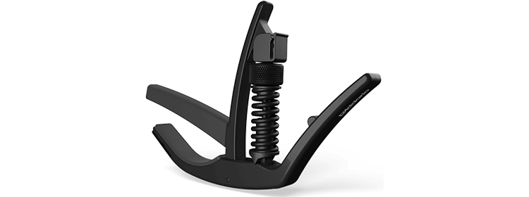 D'Addario - Artist Capo