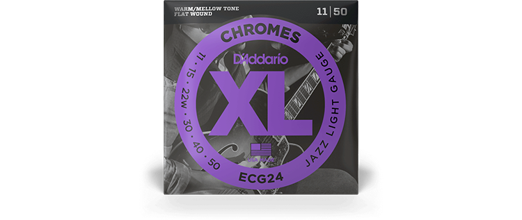 D'Addario ECG24