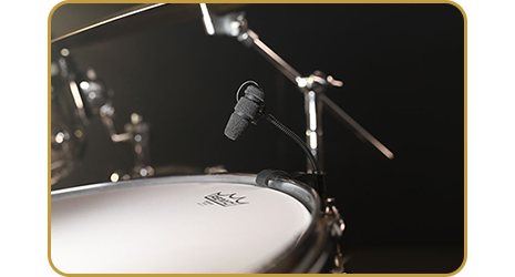 4099 Instrument Microphone
