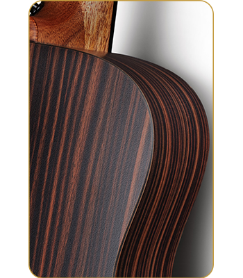 Enya - EA-X1 Pro Max SP1 Jumbo Guitar