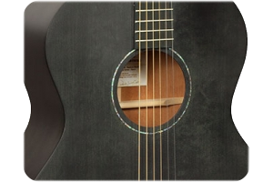 Fishman Pre-Amp Pickup
