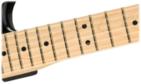 American Performer Stratocaster (Black)