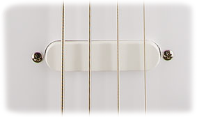 Squier Bronco™ Bass, Maple Fingerboard