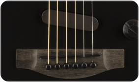 Fender American Acoustasonic Stratocaster (Black)