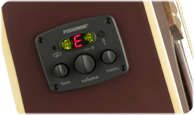 FENDER- AND FISHMAN-DESIGNED PREAMP SYSTEM