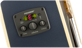 FENDER- AND FISHMAN-DESIGNED PREAMP SYSTEM