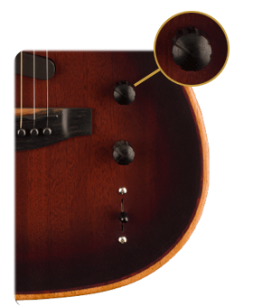 American Acoustasonic Telecaster (Bourbon Burst)
