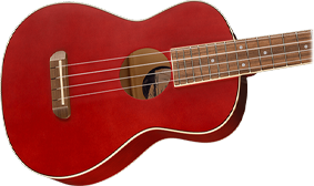 TENOR BODY