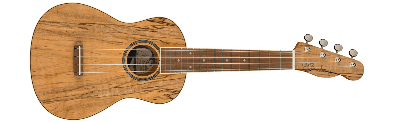 Fender Zuma Exotic Concert Ukulele Spalted Maple