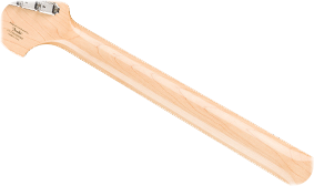 GLOSS NECK FINISH