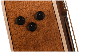 FISHMAN PREAMP SYSTEM