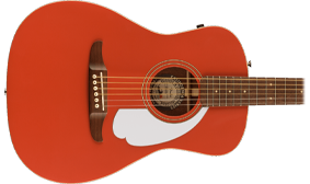 UNIQUE FENDER BODY SHAPE