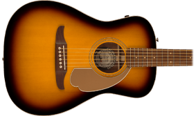 UNIQUE FENDER BODY SHAPE
