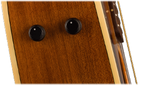 FISHMAN PREAMP SYSTEM