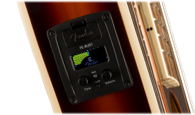 FENDER-DESIGNED PREAMP SYSTEM
