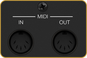 Fender Quantum HD 8