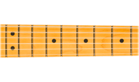 Fender 75th Anniversary American Professional Classic Cabronita Telecaster Maple Fingerboard Ice Blue Metallic