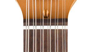 Squier Paranormal Troy Van Leeuwen Telecaster XII
