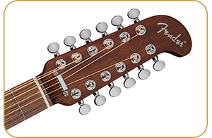 Fender California Deluxe Newporter CE