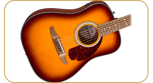 Fender California Deluxe Newporter CE