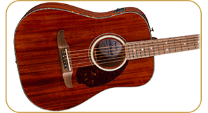 Fender California Deluxe Newporter CE