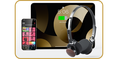 FiiO EH11