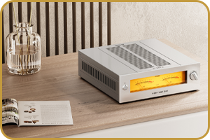 FiiO WARMER R2R