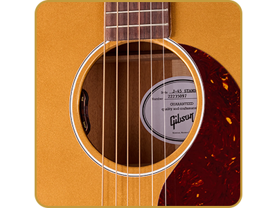 Gibson J-45 Standard Goldtop