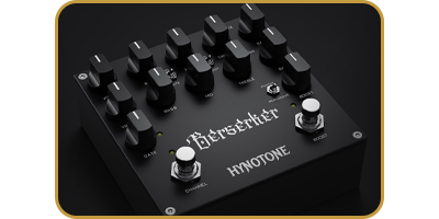 Hynotone Berserker