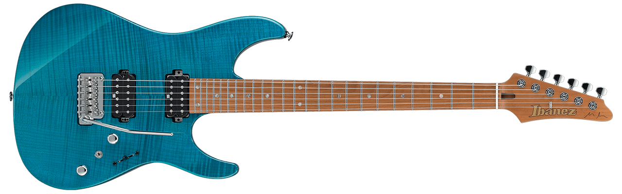 Ibanez MM1 Martin Miller Signature