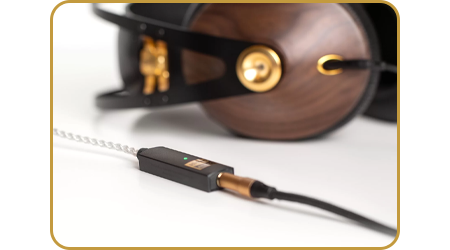 iFi GO link