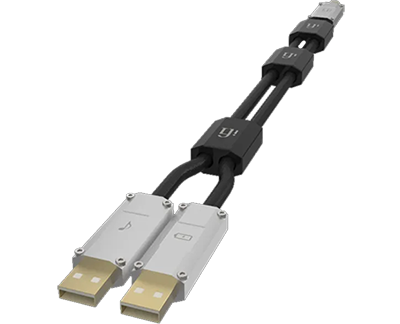 IFI Audio Gemini 0.7m Dual Headed USB Cable