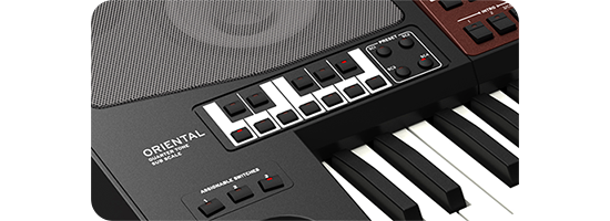 korg pa700 oriental