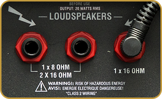 Marshall DSL20C