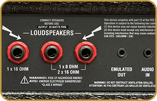 Marshall DSL20H