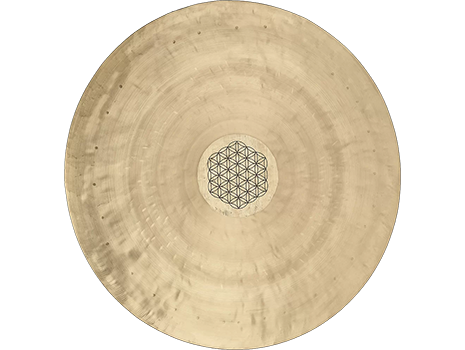 Meinl WGFOL24